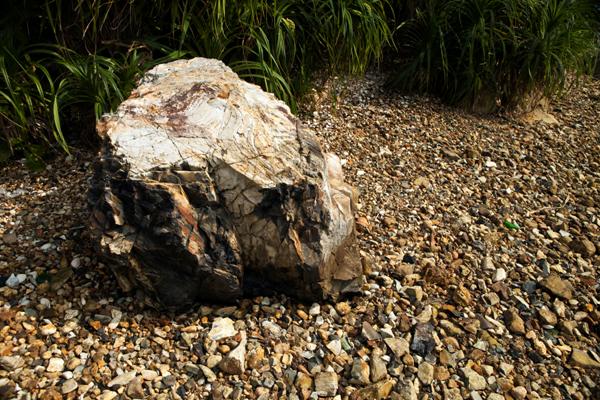 Rock